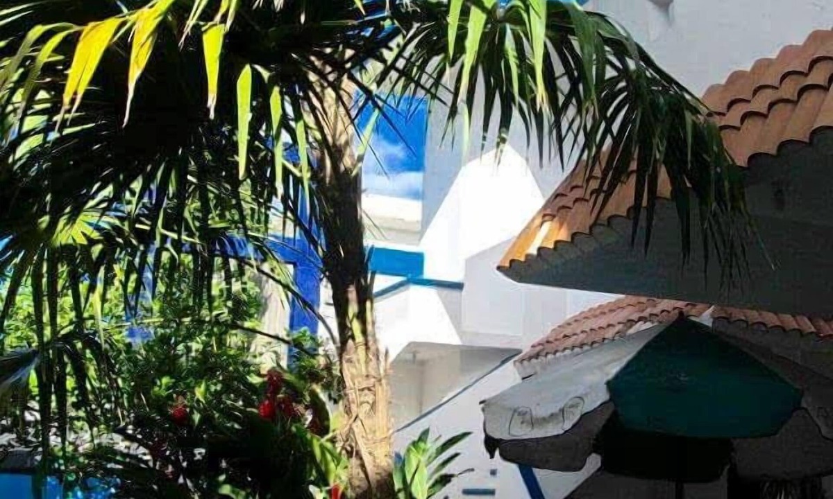 Colonia Maravilla Bed & Breakfast | Alicia's Bed & Breakfast