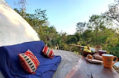 Buenavista Apartment | Casa Domo