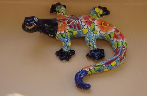 Puerto Aventuras Villa | La Salamandra