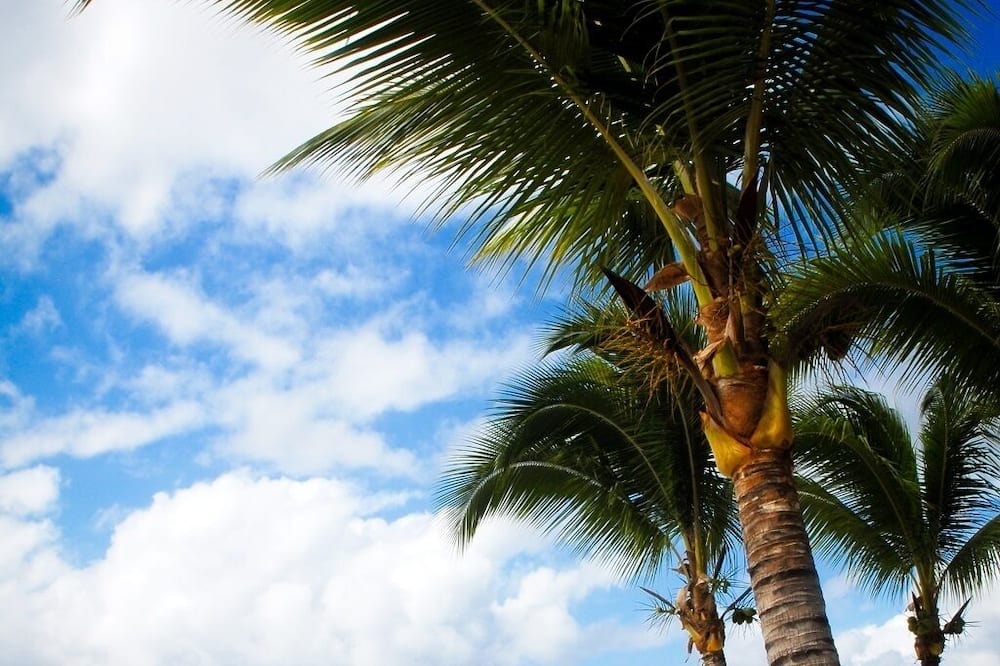 Photo of Others in Costa Maya