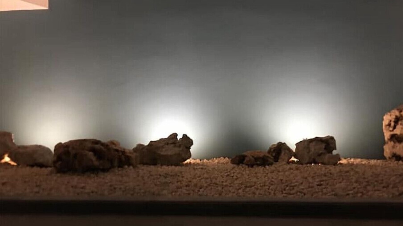 Photo of Others in Downtown Cancun