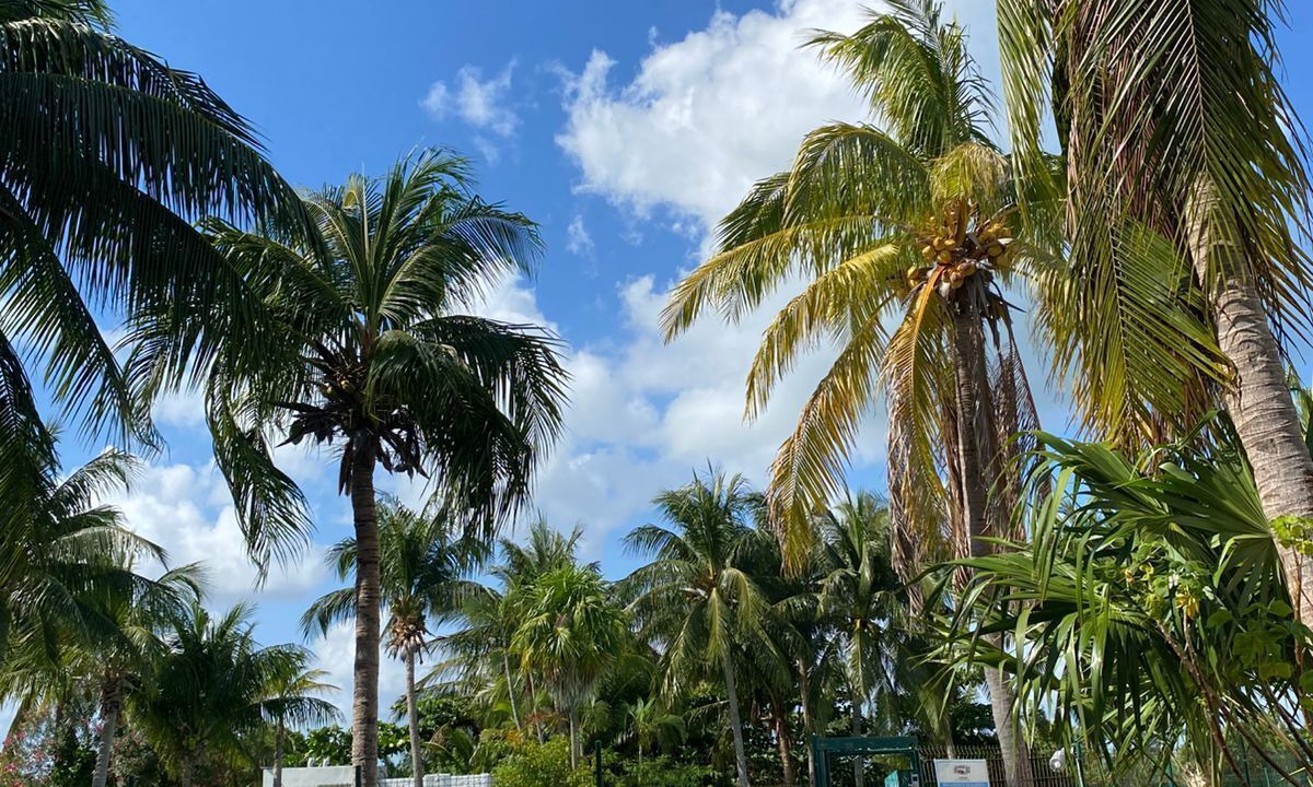 Photo of Patio Balcony in Zona Hotelera