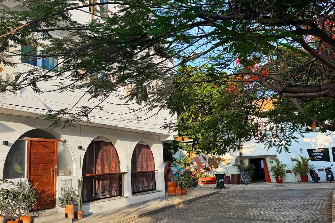 Photo of Others in Centro - Supmza 001