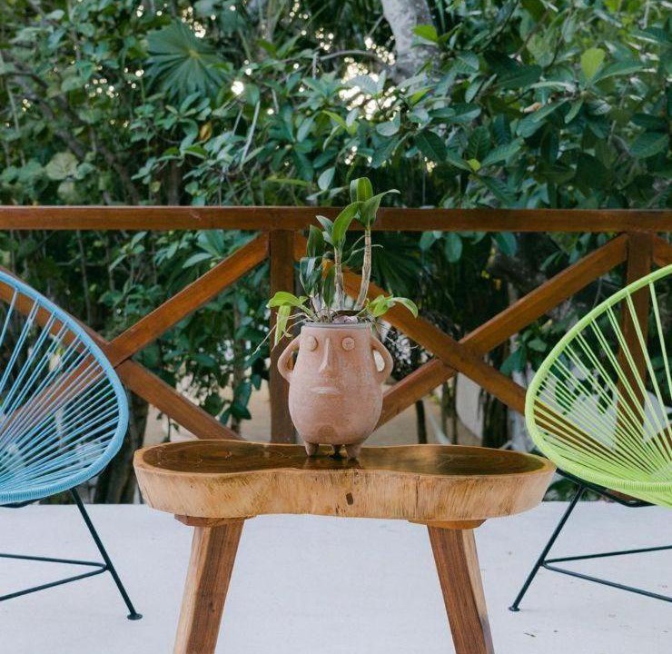 Photo of Others in Puerto Morelos