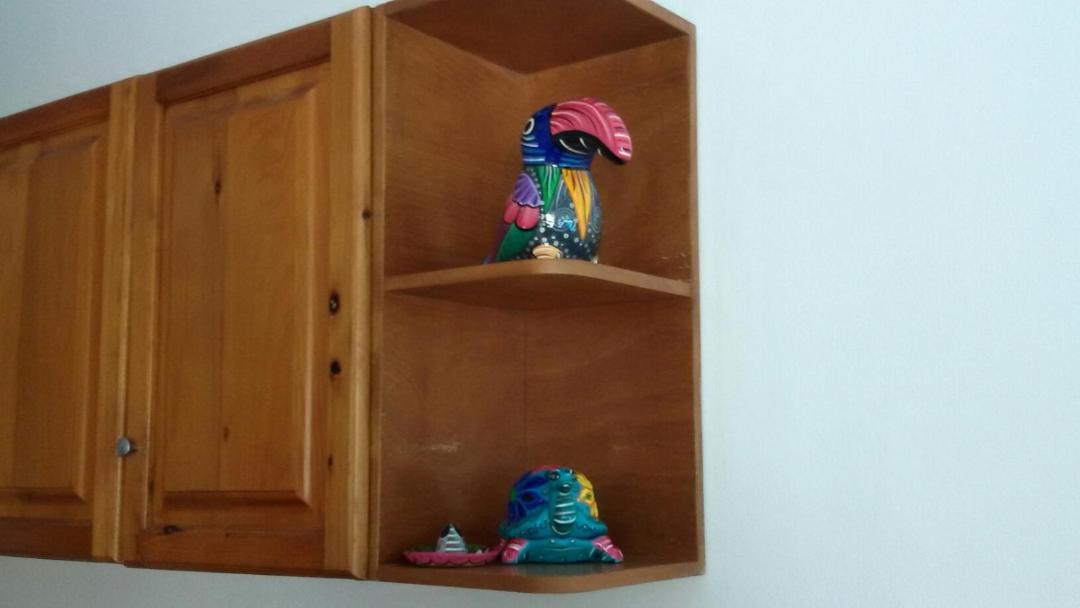 Photo of Others in Puerto Aventuras