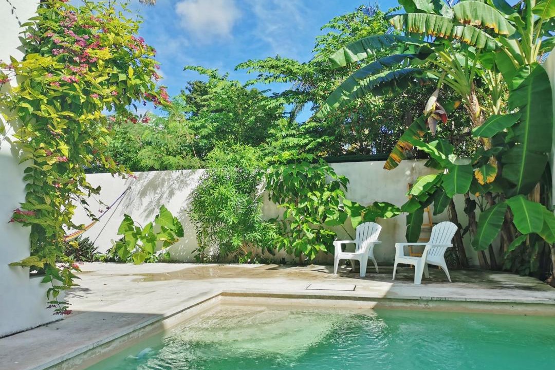 Photo of Others in Joaquin Zetina Gasca